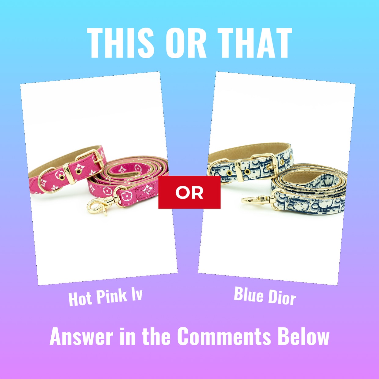 What’s style fits your dog more? Hot Pink or classic Blue? 
