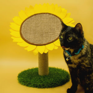 Sunflower cat scratcher