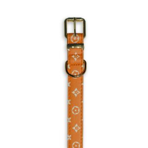 orange dog collar