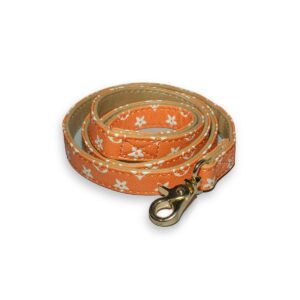 orange leash