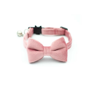 Pink Cat bowtie collar