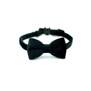 Black Cat bowtie collar