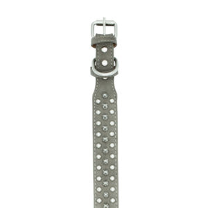 Grey spike dog collar