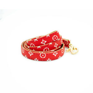 Red dog leash designer