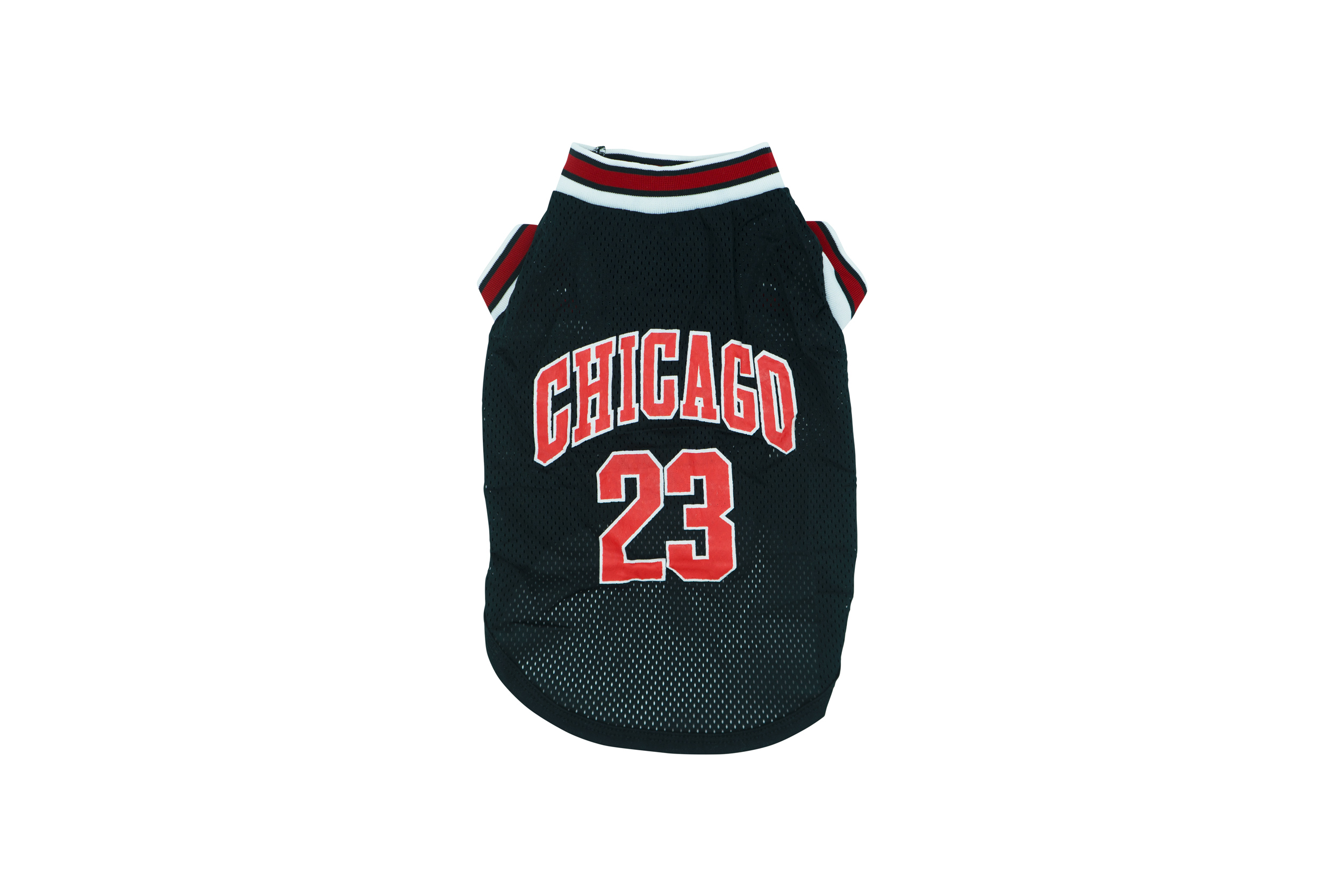 Chicago Bulls Apparel & Accessories