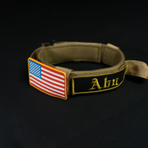 Brown tactical collar