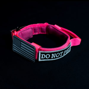 Hot Pink collar