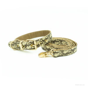 dior leash