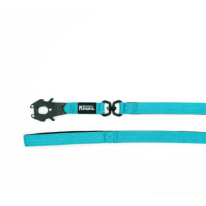 Turquoise tactical Leash