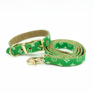 Green - Luxury Designer Monogram Empreinte Leather Dog Collar Leash Set
