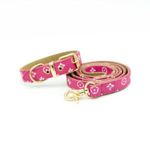 Hot Pink - Luxury Designer Empreinte Dog Collar Leash Set
