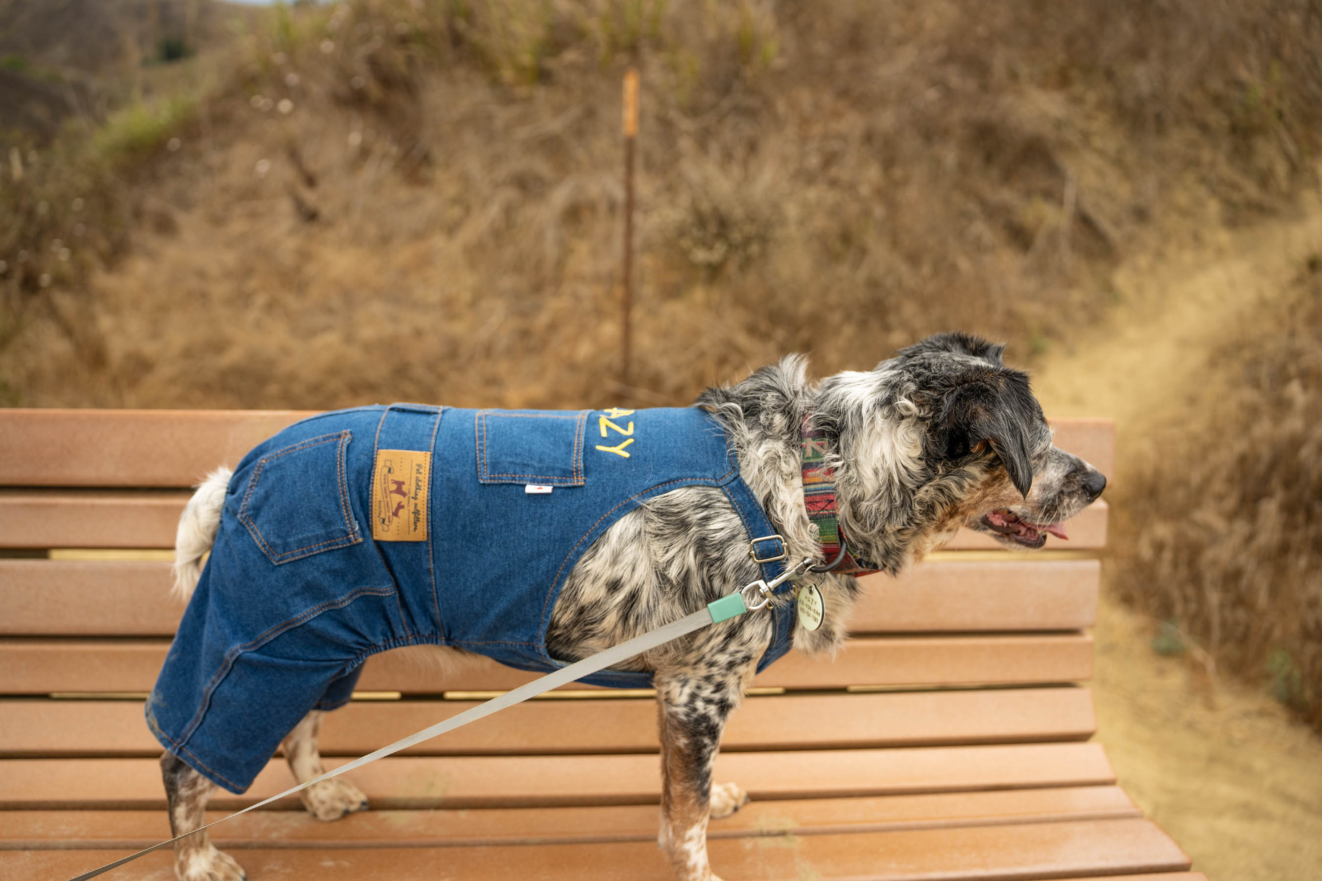 Sniffy Dog woven Overalls