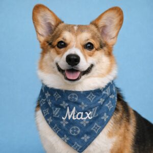 LV dog bandana