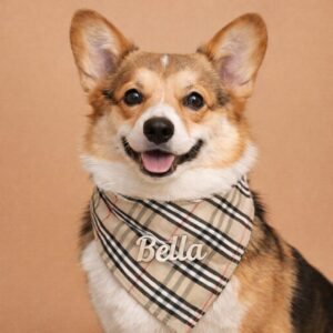 Plaid embroidered dog bandana
